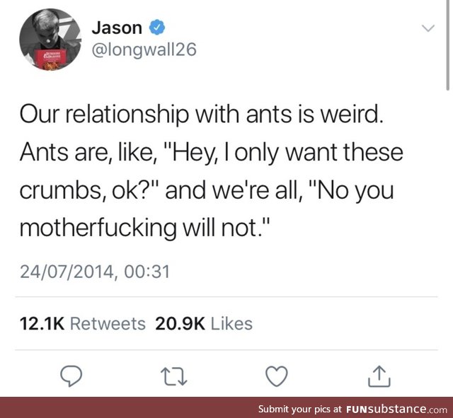 **** ants