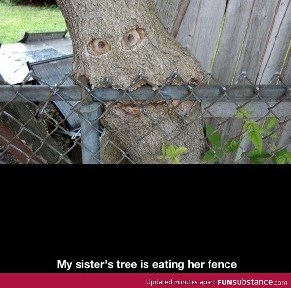 Hungry tree