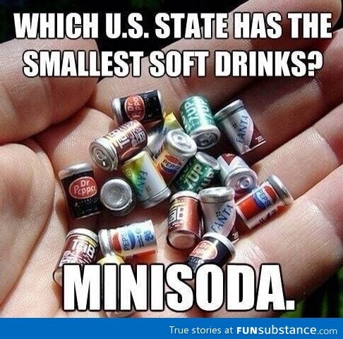 Which US state has the smallest soft drinks?