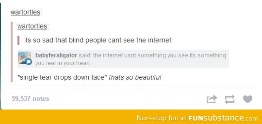 Blind people can't see the Internet
