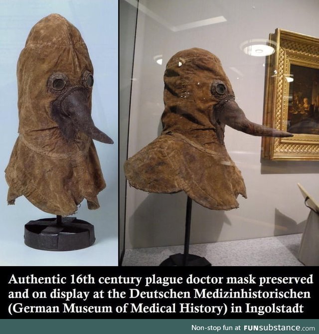 What a real plague doctor looked like