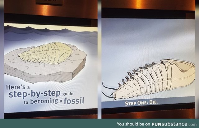 How to be a fossil