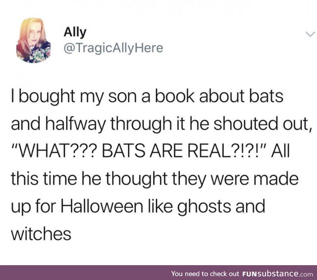 PSA: Bats are real