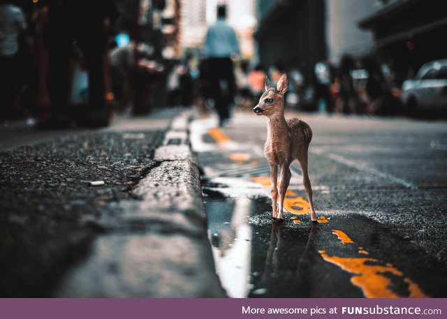 Tiny bambi