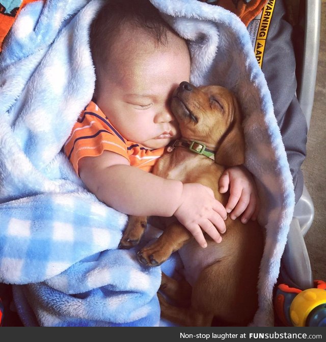 A baby with his lifelong protector