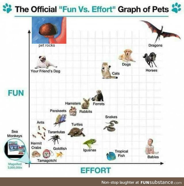 Graph of Pets