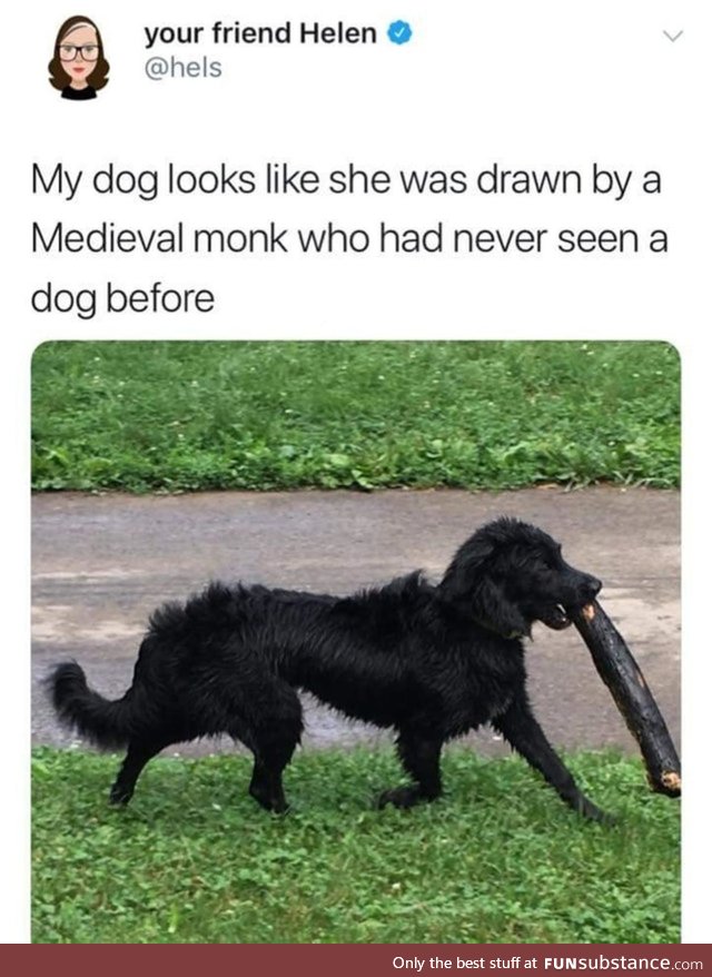 Weird looking dog