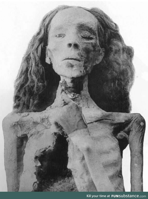 One of the best (facially) preserved mummies in Egypt, Lady Tiye, ca. 3300 years old