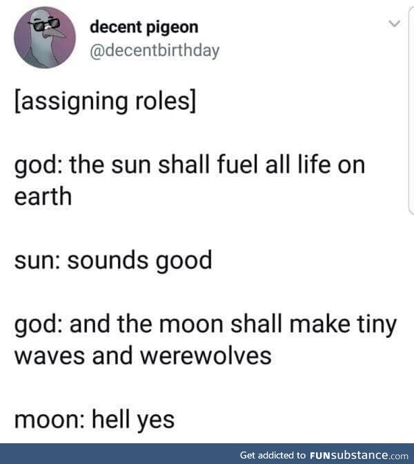 What does the moon do