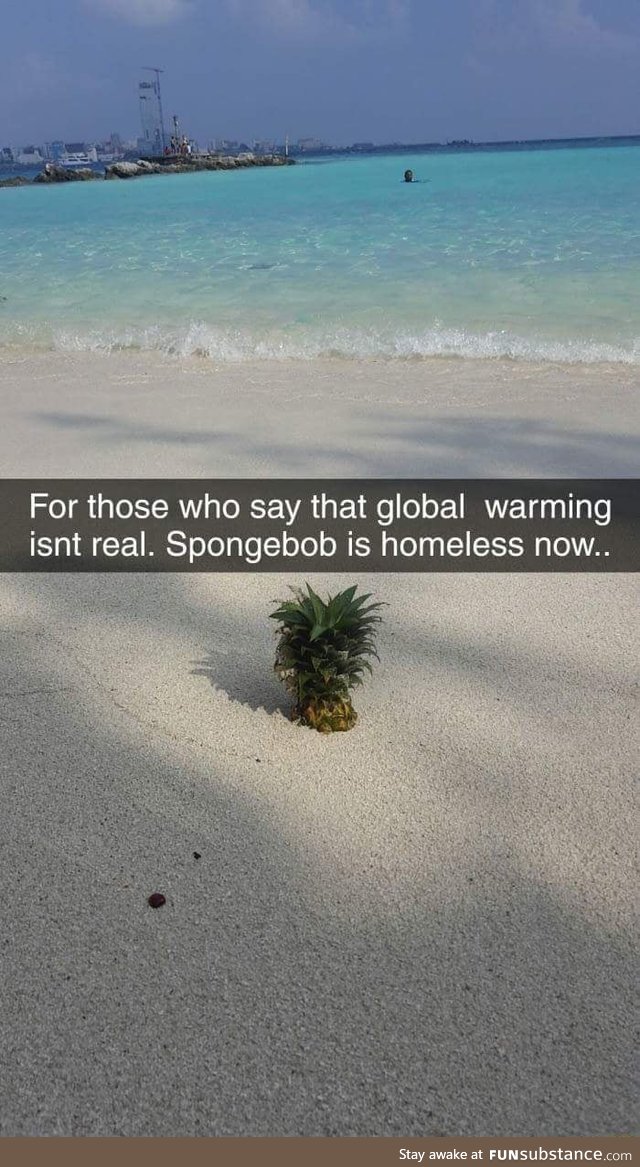 Spongebob is homeless