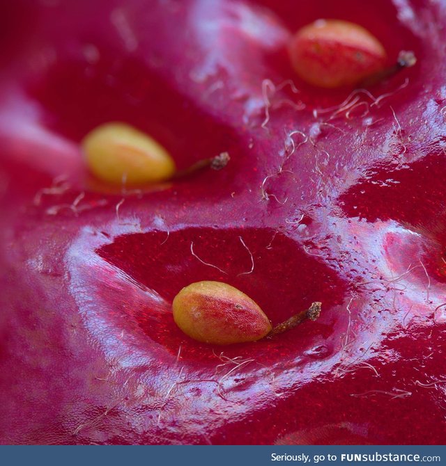 The surface of a strawberry