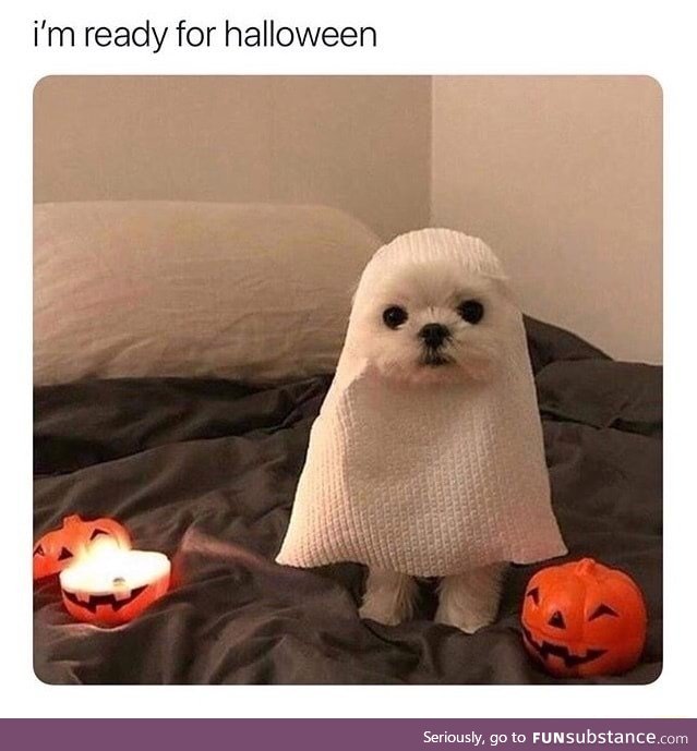 Pupper is a ghost