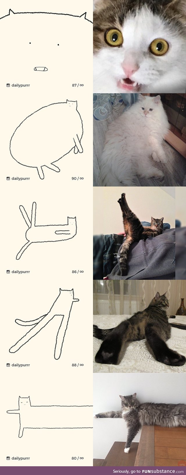 Drawings of cats