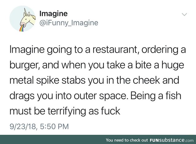 Imagine being a fish