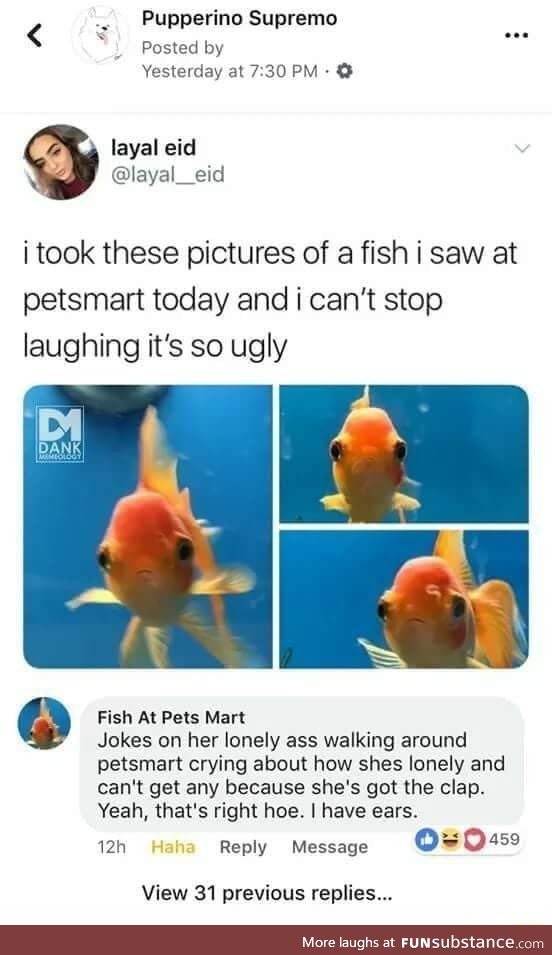 Fish fight back