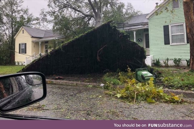 A tree fell over and pulled up the front yard