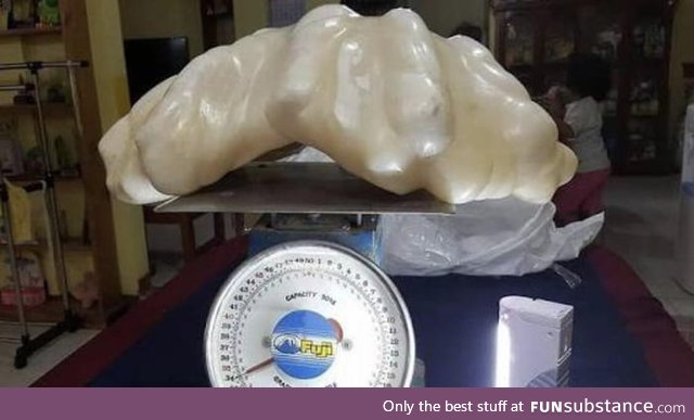 A fisherman finds a 34 Kg pearl valued over $100 million