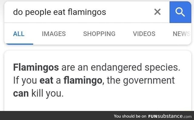 Do people eat flamingos