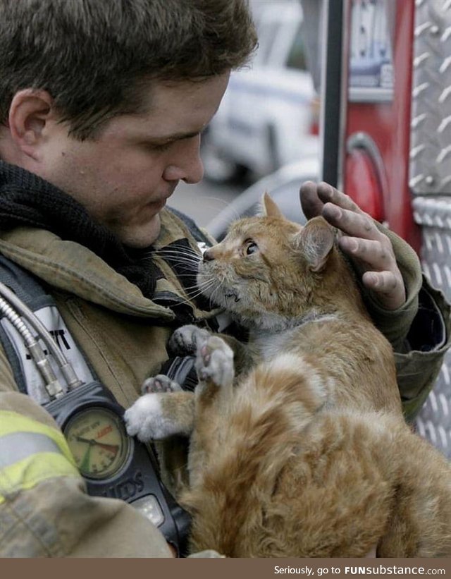 Cat got rescued by firefighter from a burning building