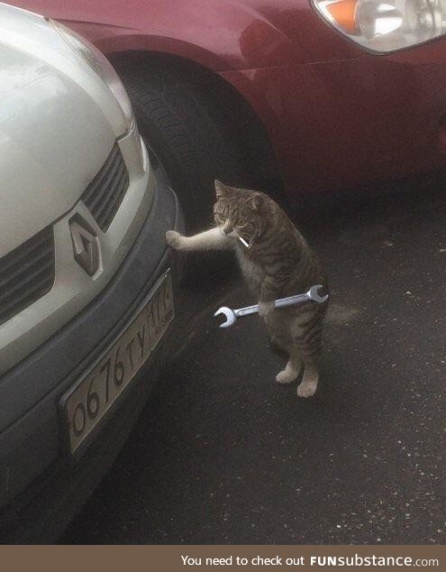 Alright, let's get that engine purrin' again