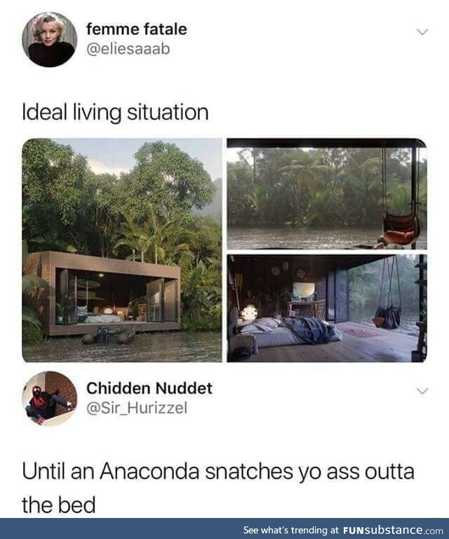 Anaconda food box
