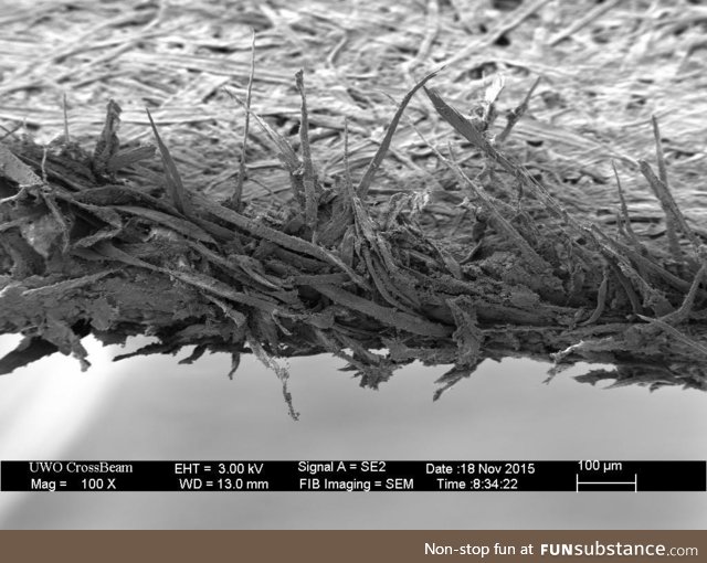 Edge of Paper in Microscope