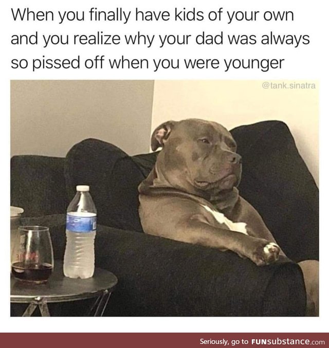 The look on the dog's face matches the meme to well it's amazing