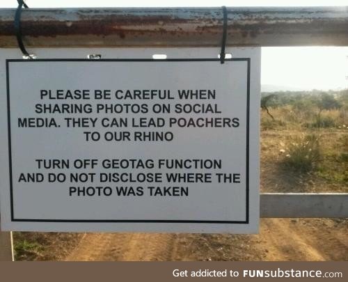 Keep the rhinos safe