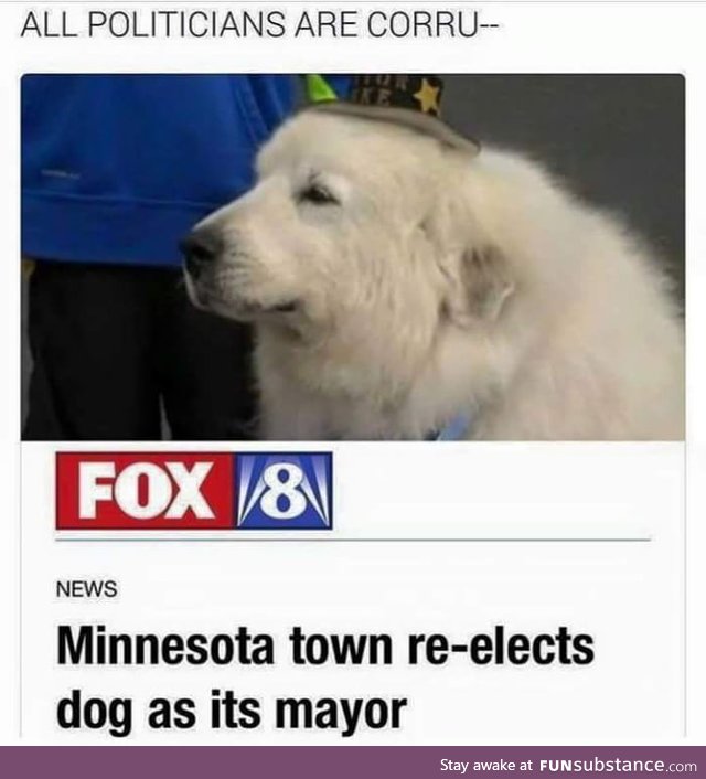 Make Minnesota great again