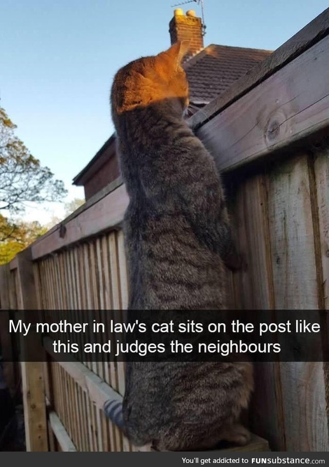 Judging the neighbors