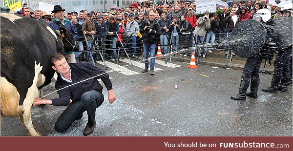 A protestor spraying milk on policemen during a protest againest falling milk prices