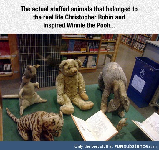 Winnie the pooh inspiration