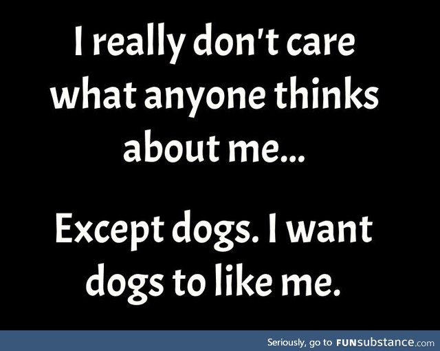 I want dogs to like me