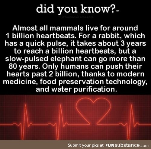 Surpassing 2 billion heart beats