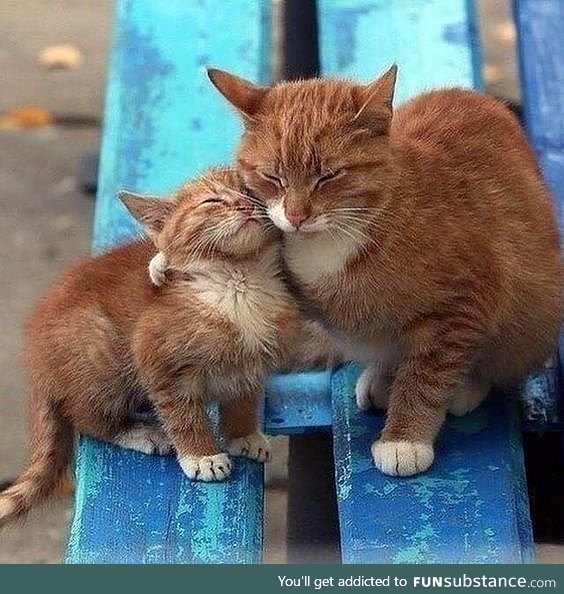 "you can stay with me buddy, i protect you!"
