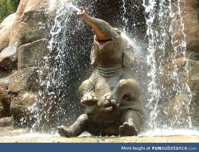 Happy Elephant :3..
