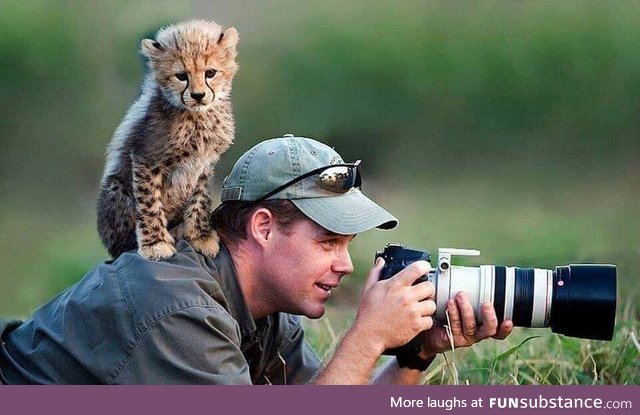Some say he's still there waiting to get a oic of a cheetah cub
