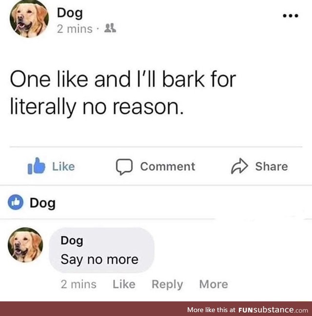 Dog bark