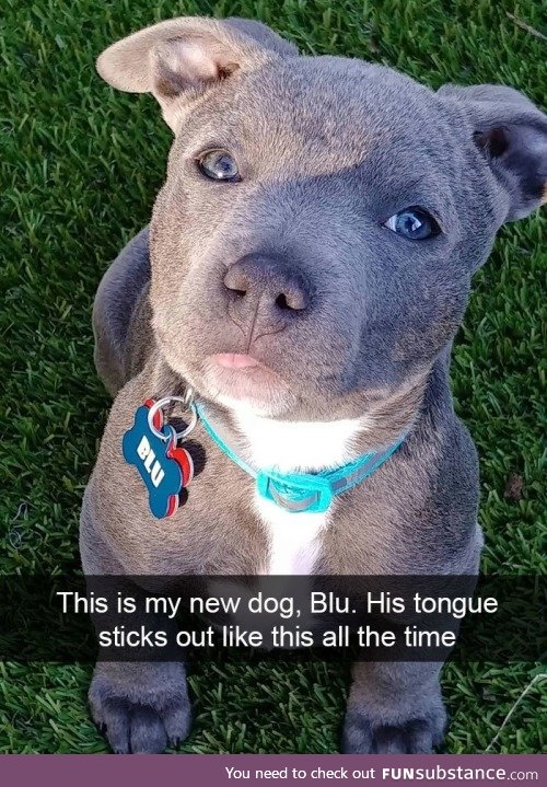 Blu is precious as heck