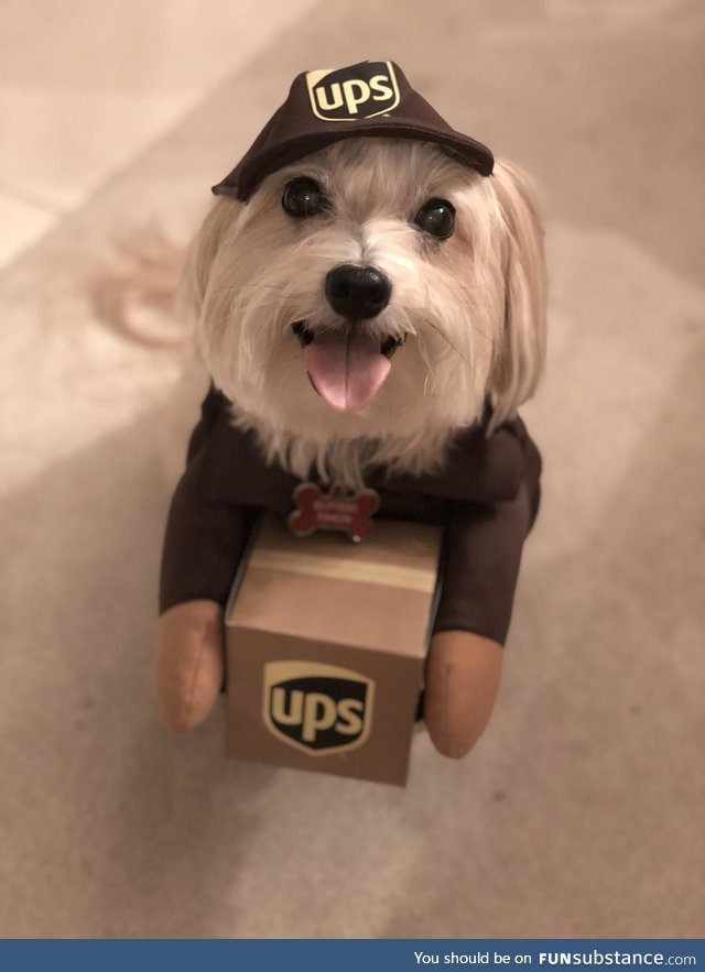 "i got a parcel for you sir!"