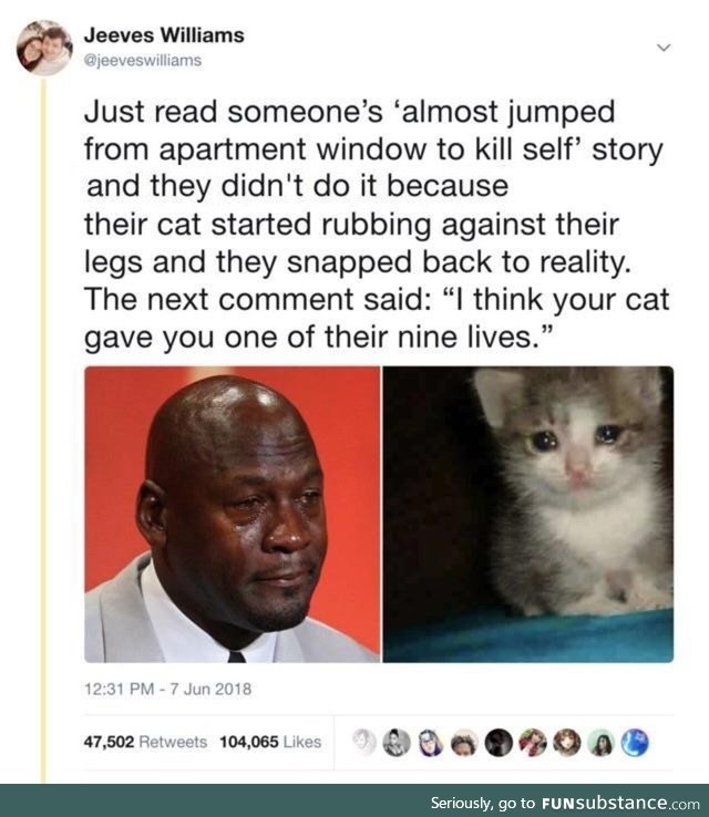 Cat saving lives