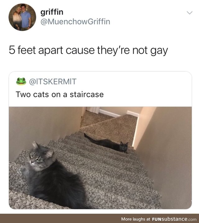 Not gay