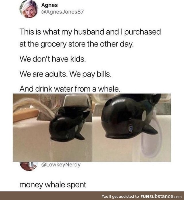 Money whale spent