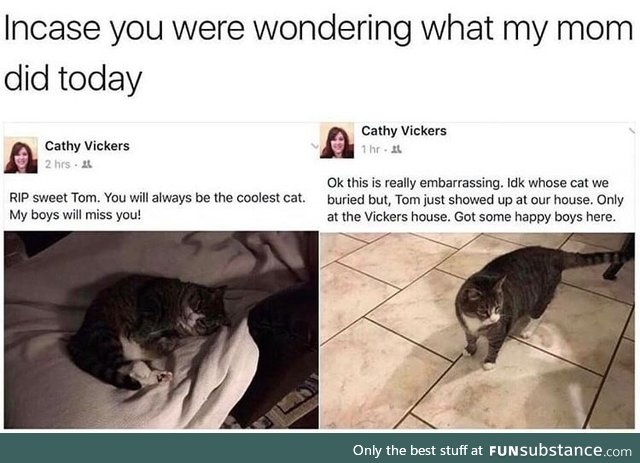 I wonder if the cat was really dead