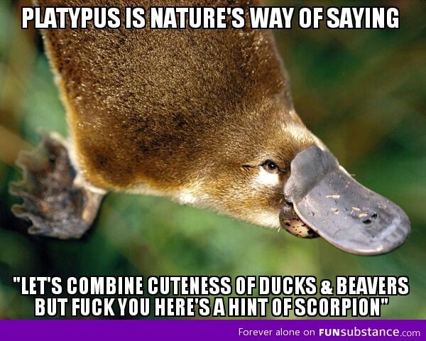 Platypus is nature's way of saying...