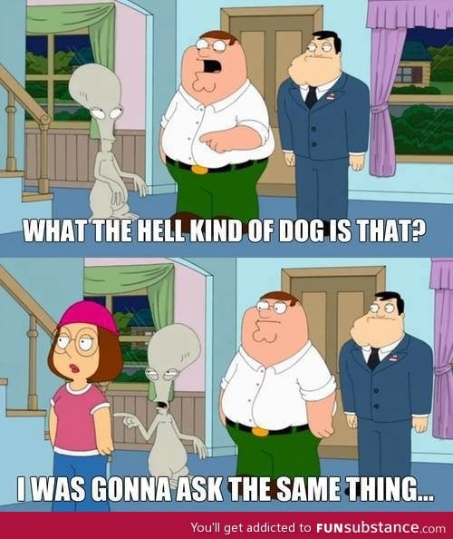 One of my favorite scenes from family guy