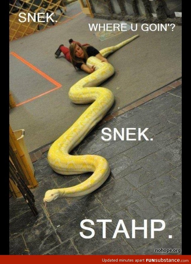 Snek Stahp