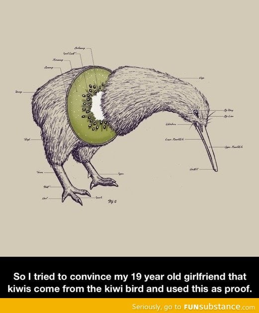The kiwi bird