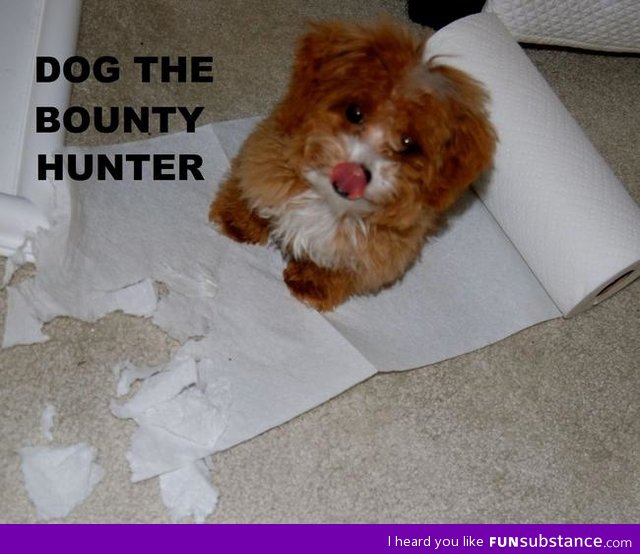 Dog the bounty hunter