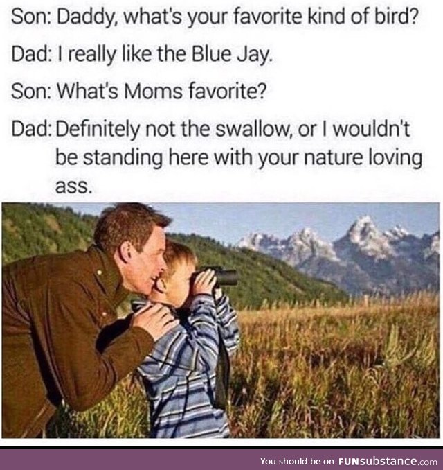 Favorite bird